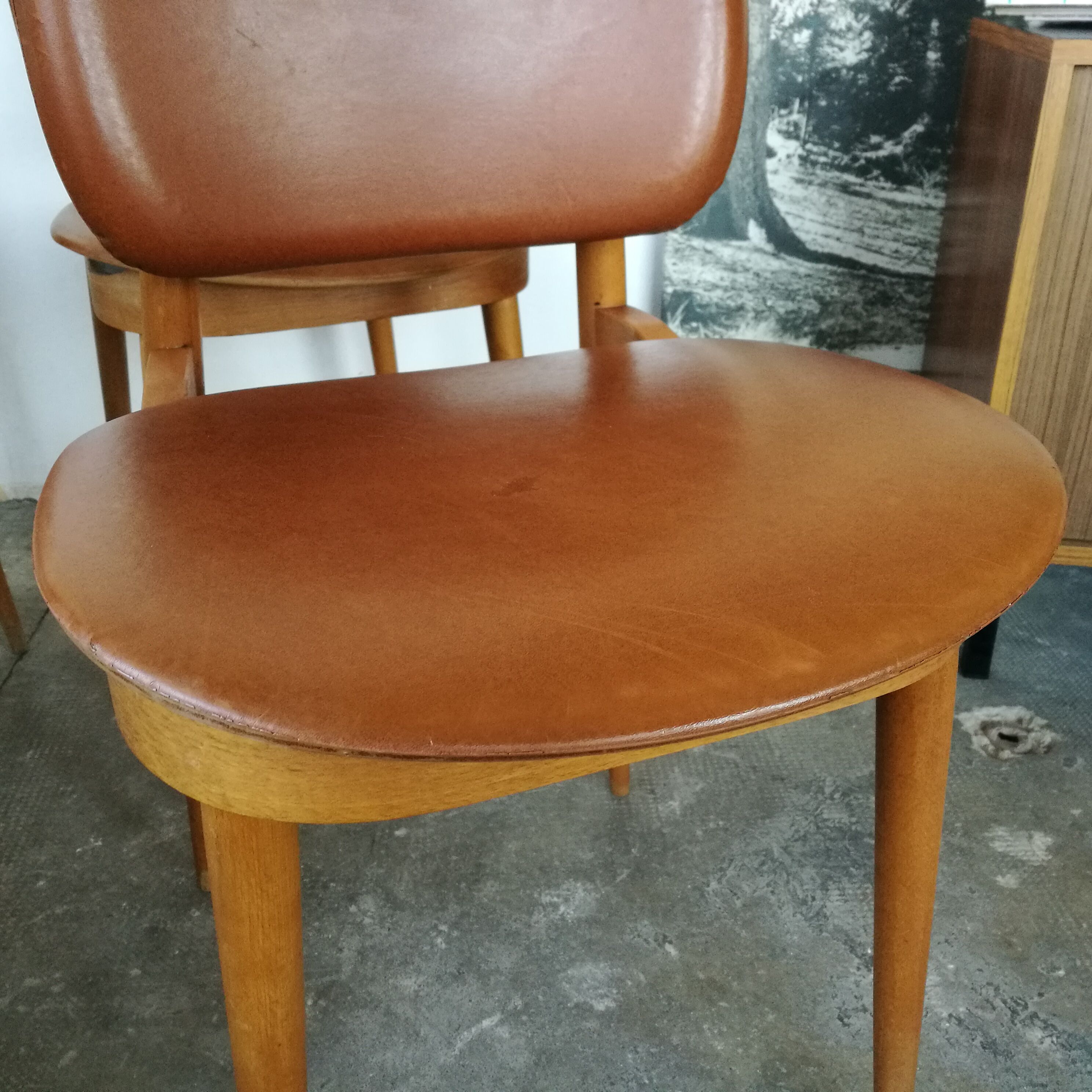 Set of 4 Baumann chairs, Pegasus model