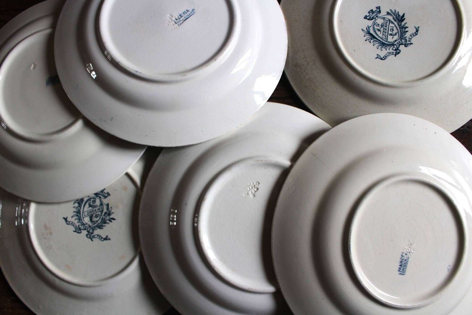 6 mismatched flat plates Terre de fer bleu Alésia Marcel Longchamp