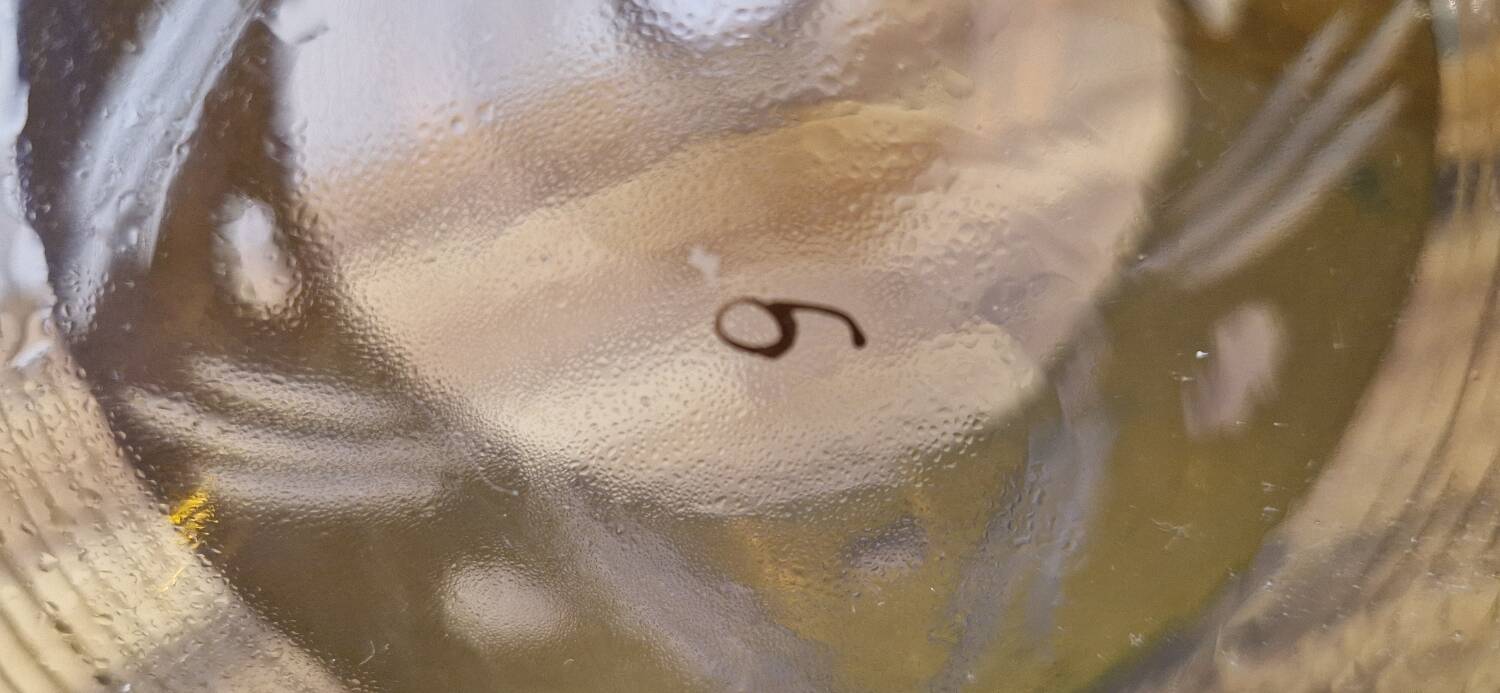 Art Deco style glass carafe with gold decoration