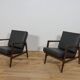 Model 300-139 Armchairs from Swarzędz Furniture Factory, Poland, 1960s, Set
