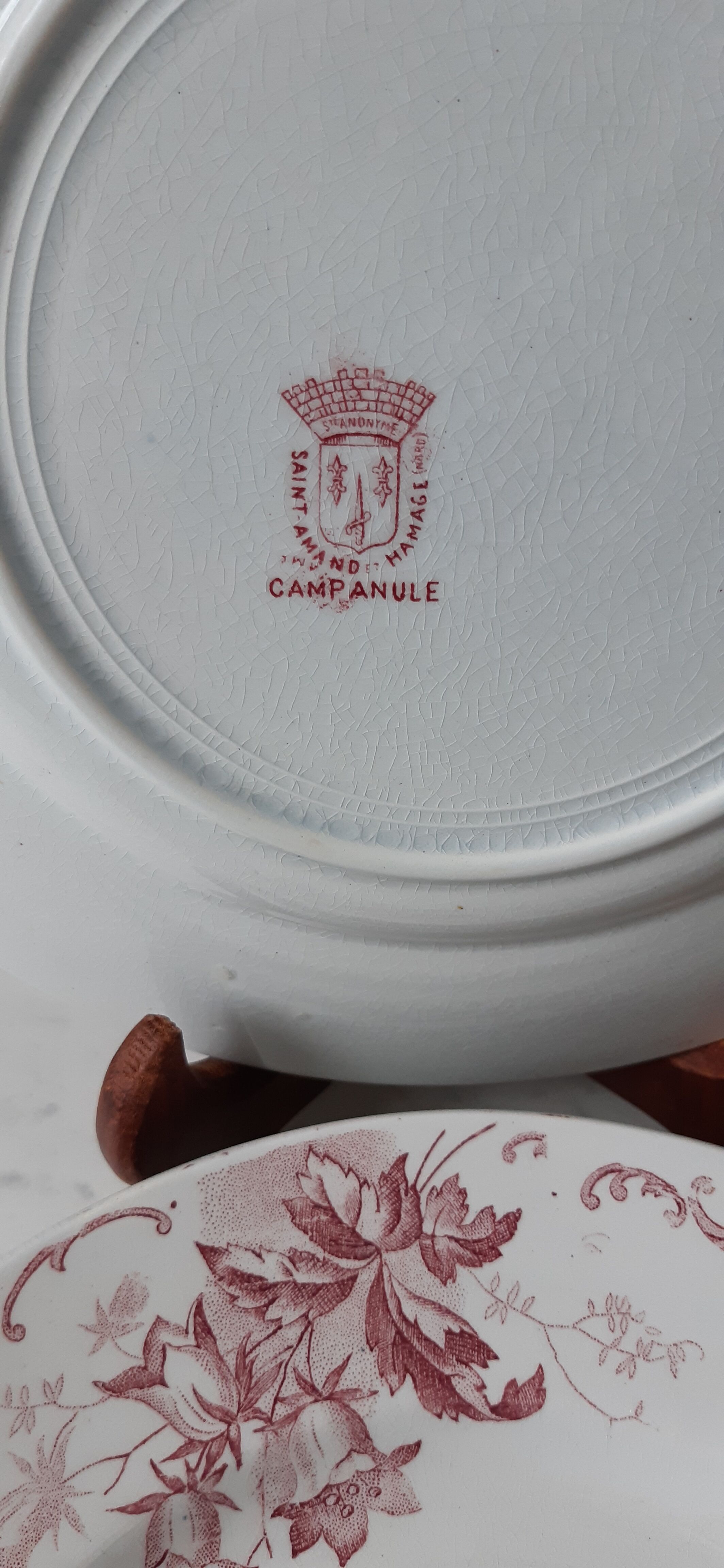 Set of 5 flat plates Terre de Fer St Amand model "Campanule" mid XIXth