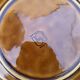 Dessert plates Sarreguemines Hawaii
