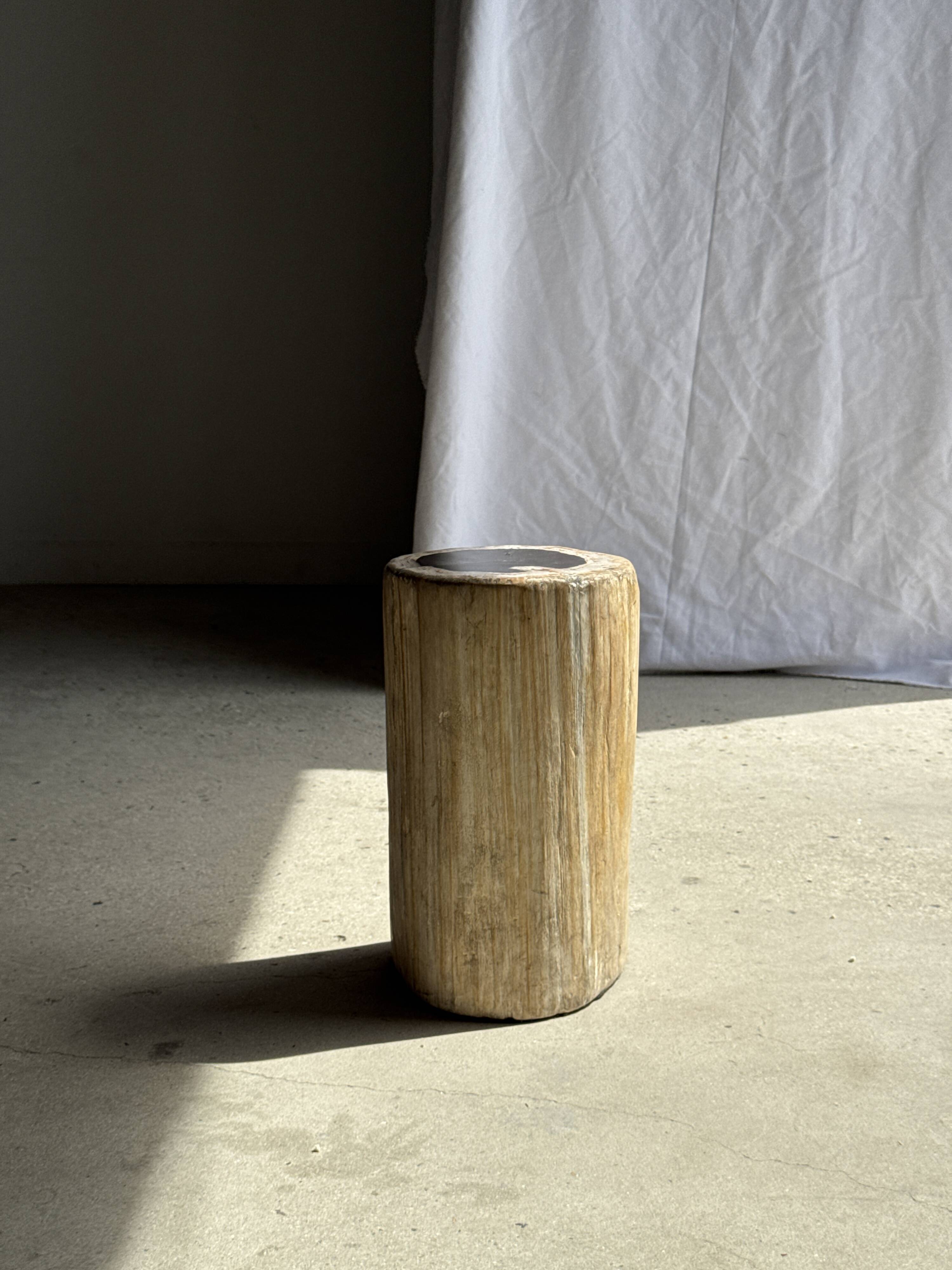 Table d'appoint en bois pétrifié, écorce blanche