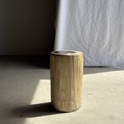 Petrified wood side table, white bark