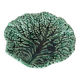 Cabbage leaf bowl