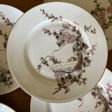 Hand-painted dessert plates