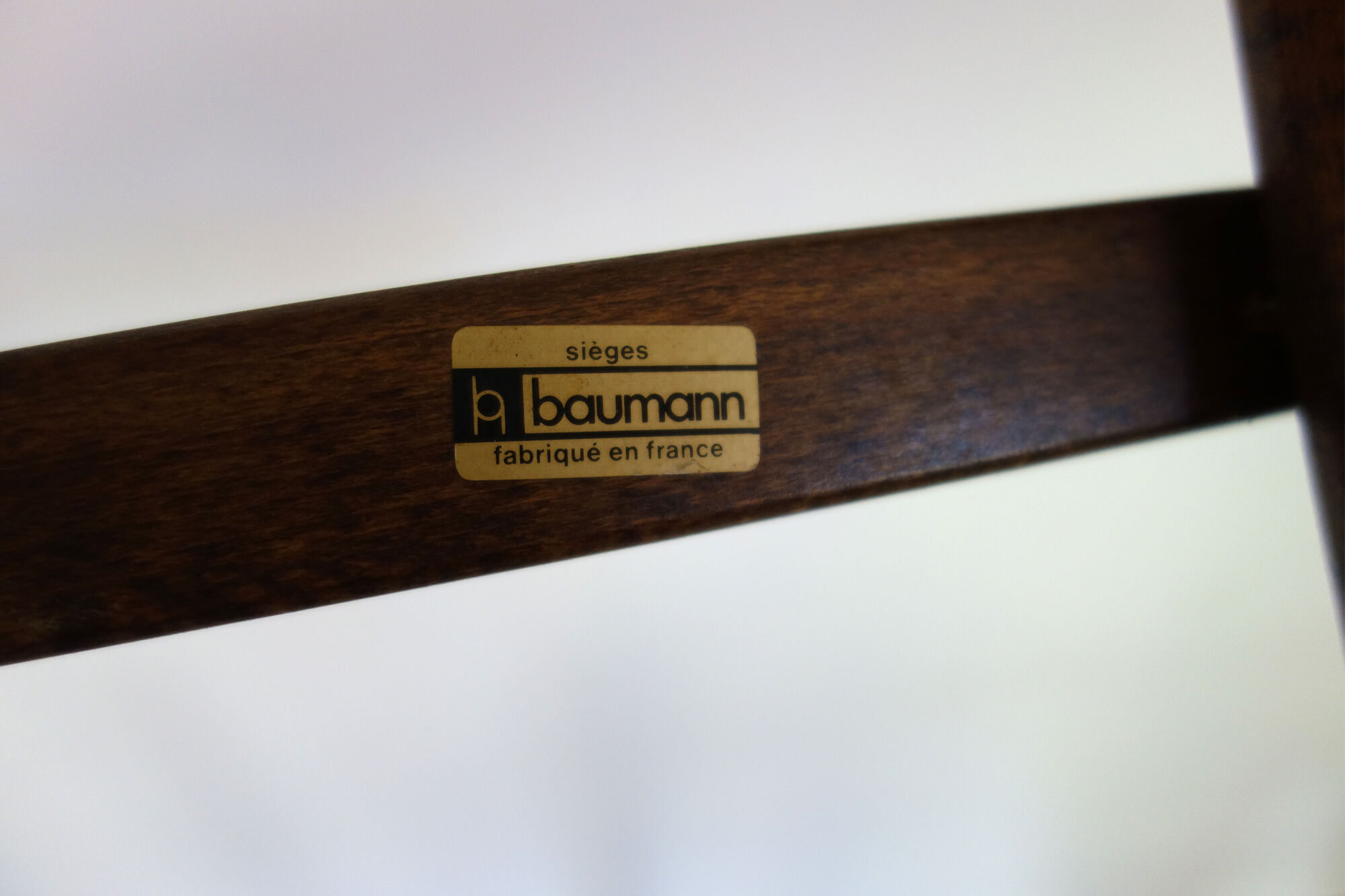 Baumann parrot coat holder