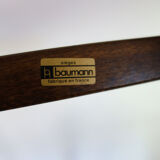 Baumann parrot coat holder