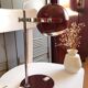 Eyeball lamp
