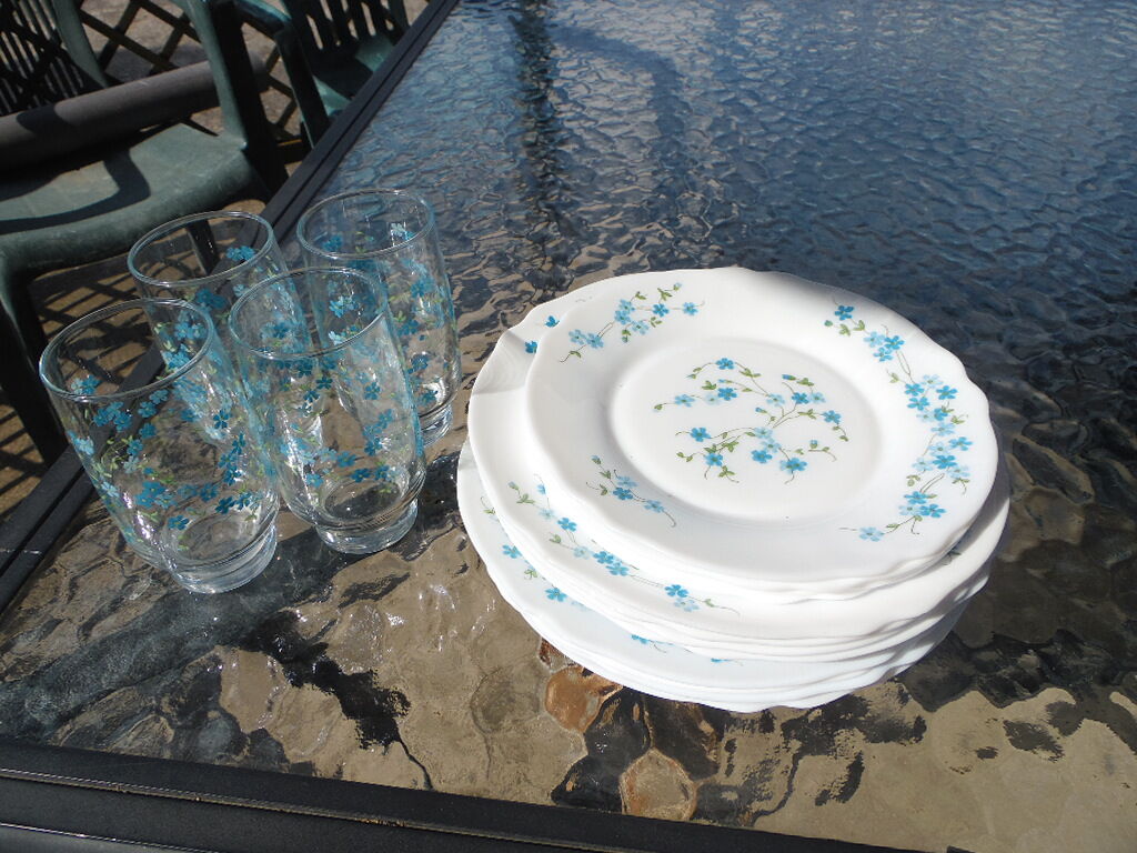 Service for 4 people forget-me-not arcopal