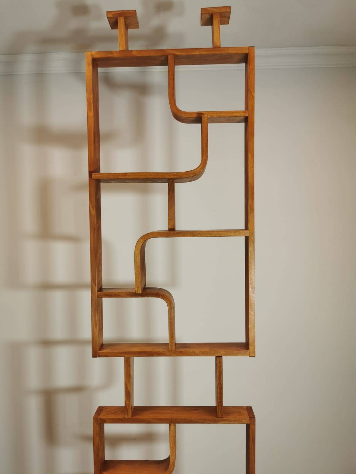 Room Divider by Ludvik Volak for Drevopodnik Holesov, 1950s