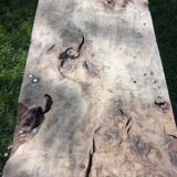 Carpenter workbench