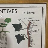 School poster by Rossignol double side