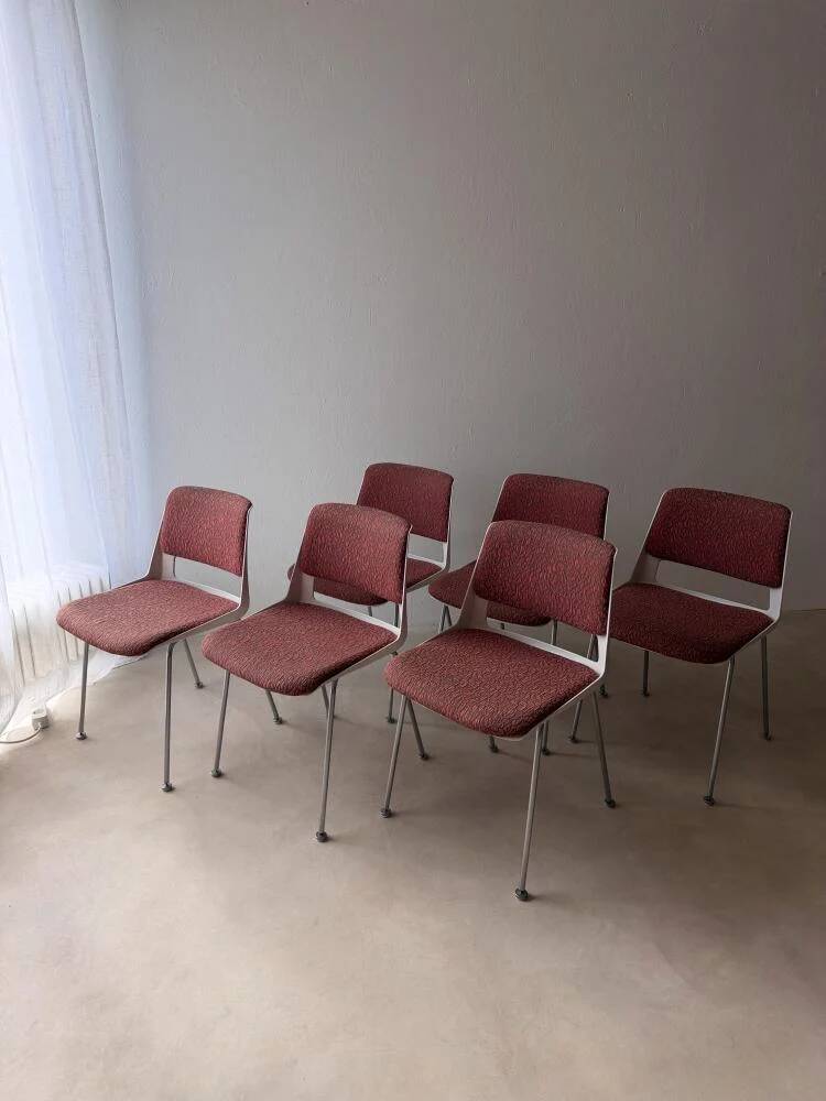 Gispen 2215 dining chairs André Cordemeyer set of six