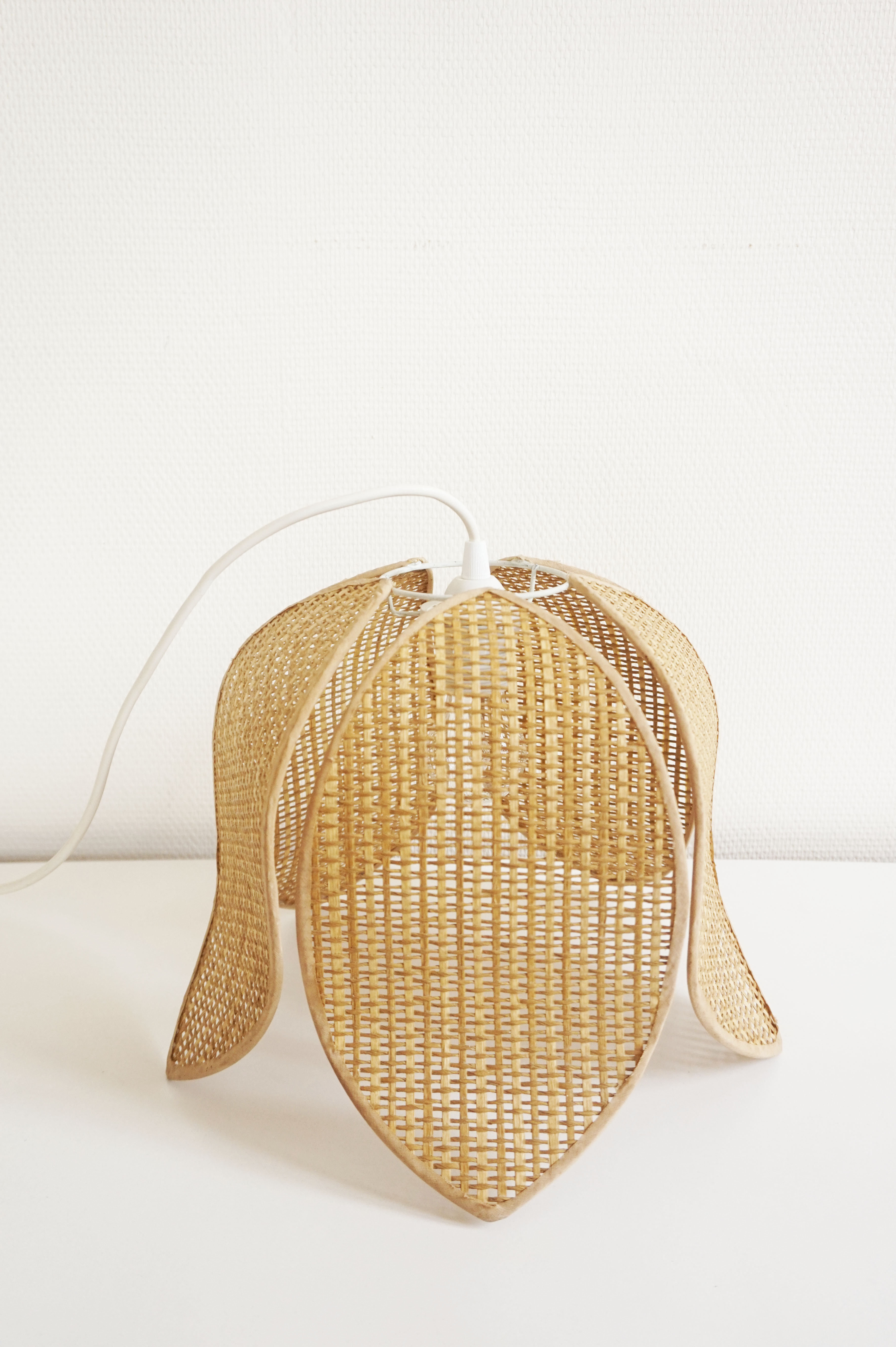 Braided rattan flower hanging lamp