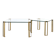 Hollywood Regency Brass and Glass Coffee Tables by Peter Ghyczy, 1970s, Set