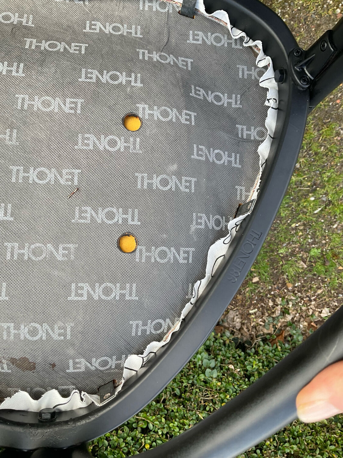 Pair of Thonet armchairs model 225 in stained black beech.