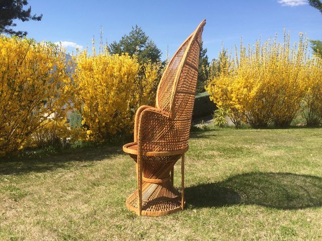 Emmanuelle wicker and rattan chair for adults 1970s