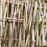 Rattan basket 62 x 46