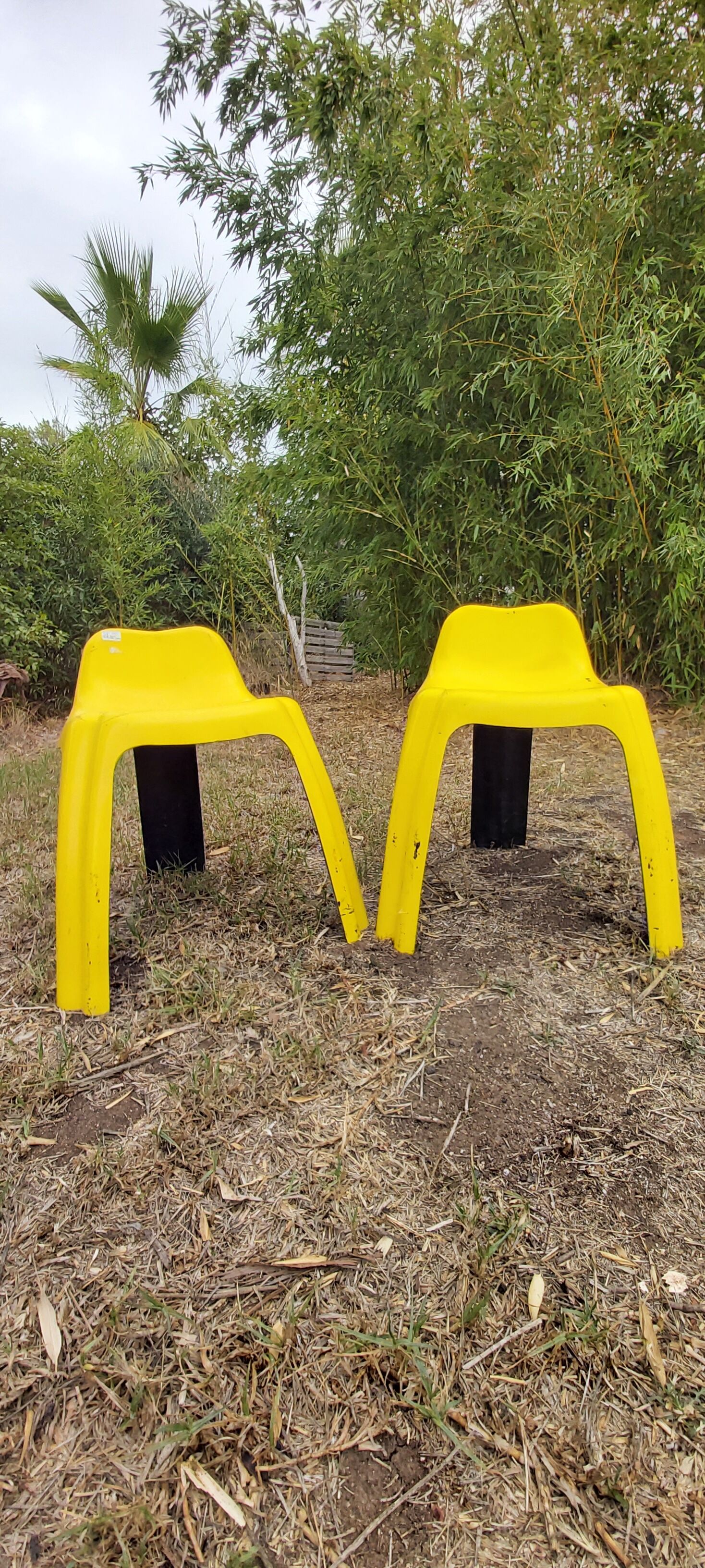 2 chairs ginger 1970