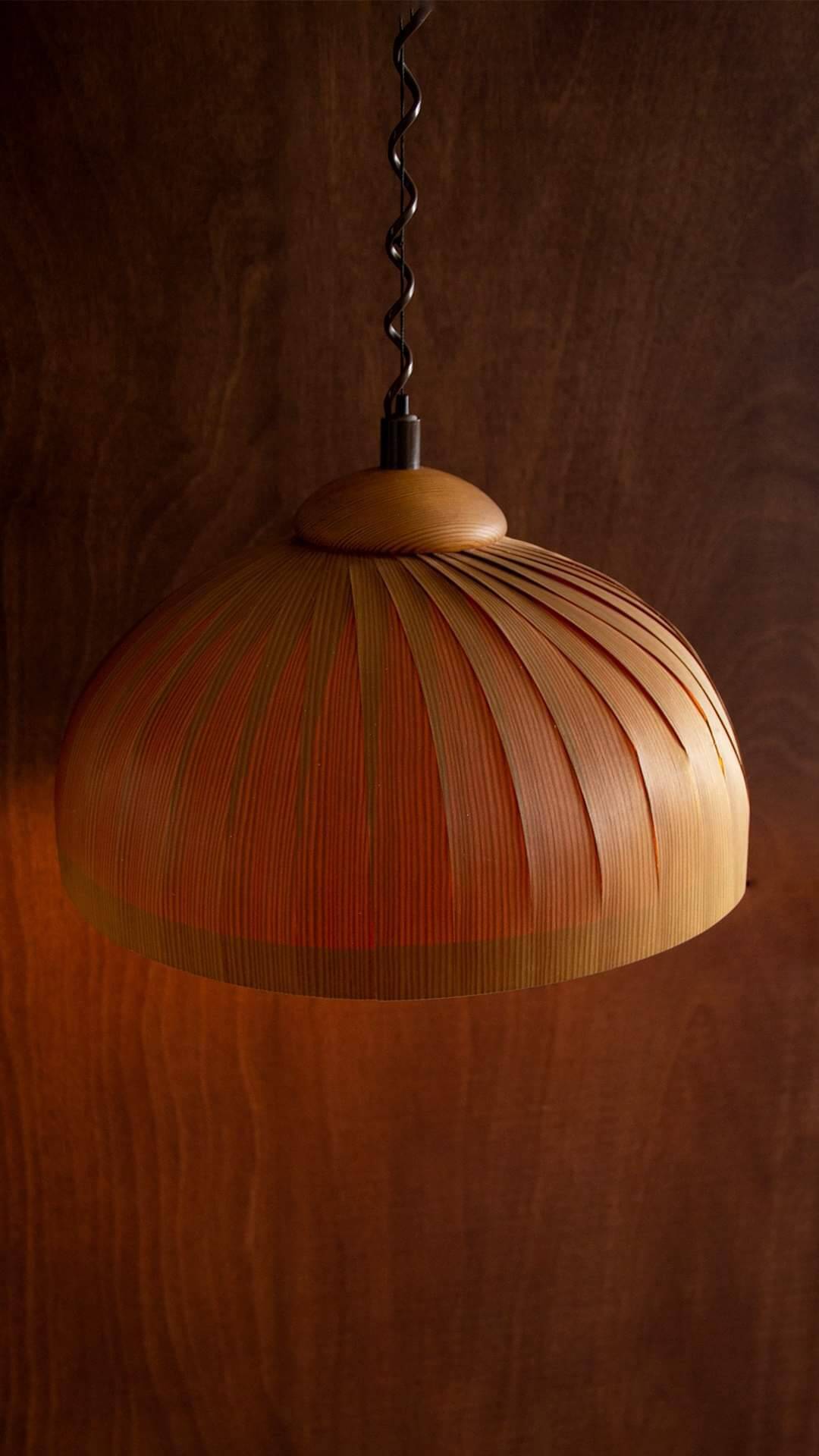 Danish vintage pendant light Hans Agne Jakobsson
