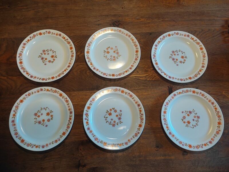Flat plates Arcopal orange flowers