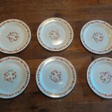 Flat plates Arcopal orange flowers