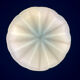 Vintage Art Deco globe wall light in blue opaline.
