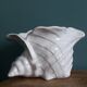 Ceramic conch shell, plant pot or trinket dish.