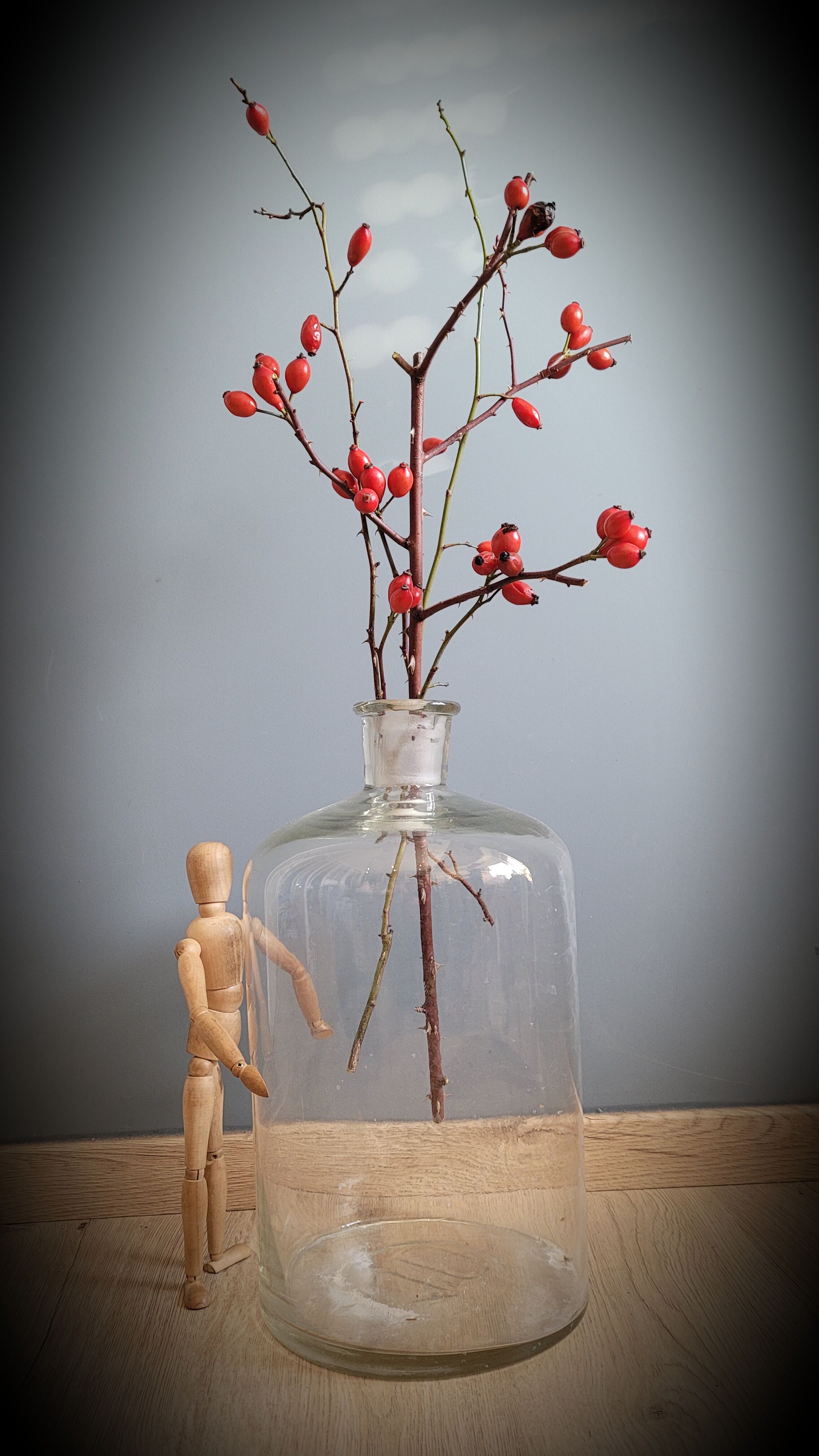 Transparent 10L apothecary bottle