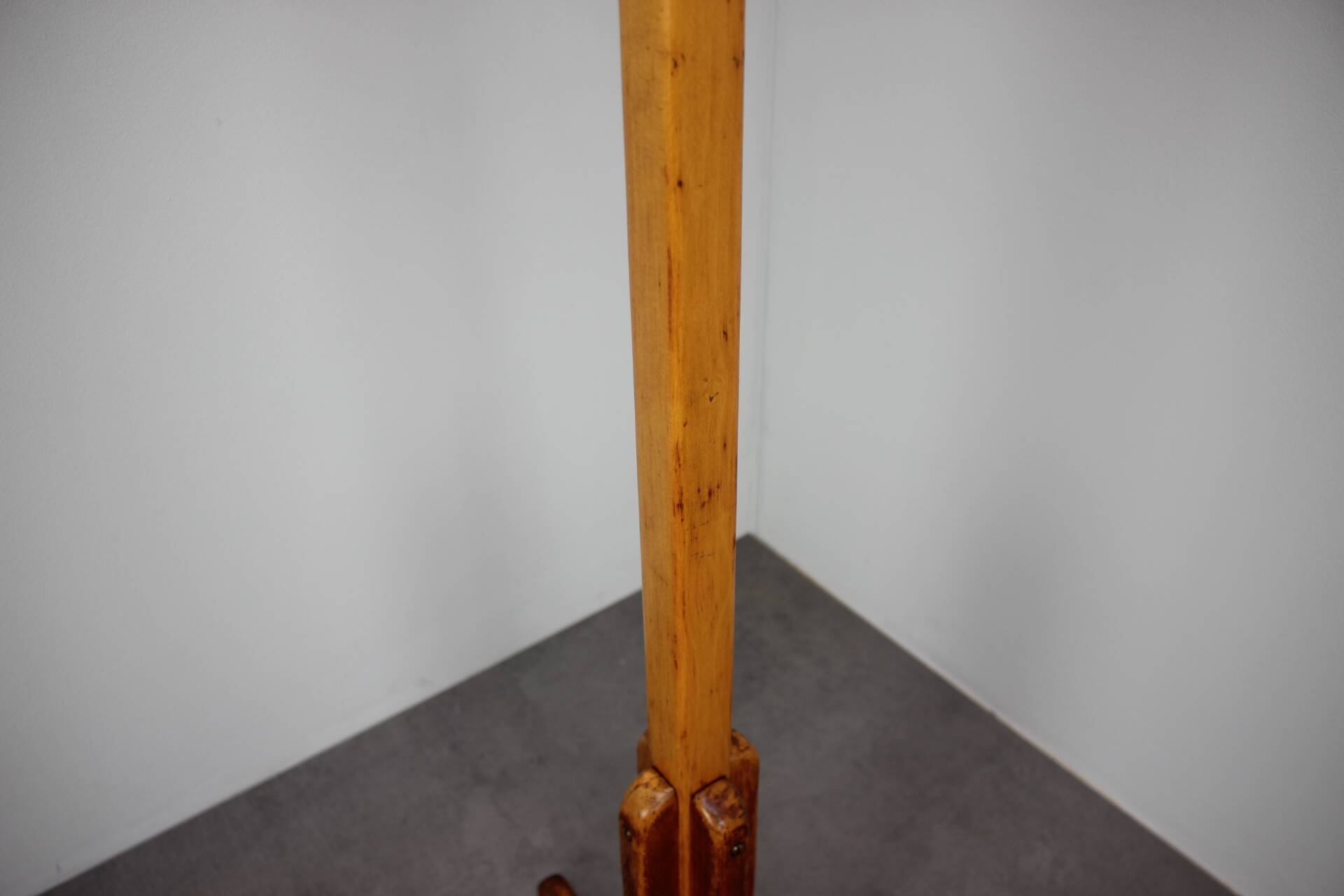 Vintage coat rack in the shape of a parrot in Bentwood - Thonet style - Early 20th century