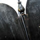 Art nouveau firewall in black enamelled sheet metal - decoration of painted tulips screen 1900