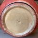 Ethnic terracotta plant pot