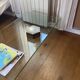 Habitat Gala tempered glass coffee table