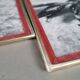 Pair of old silver photographs of insects S Celebonovic