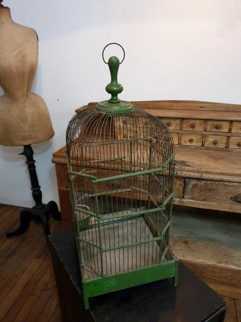 Victorian BirdCage
