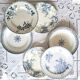 Mismatched antique ironstone dinner plates