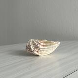 Empty pocket bowl