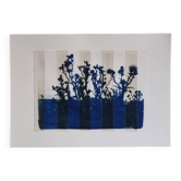 Cyanotype photo bichromy