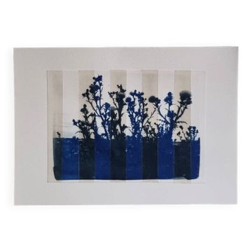 Cyanotype photo bichromy