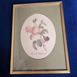 Rose frame by perfumers pj Redouté