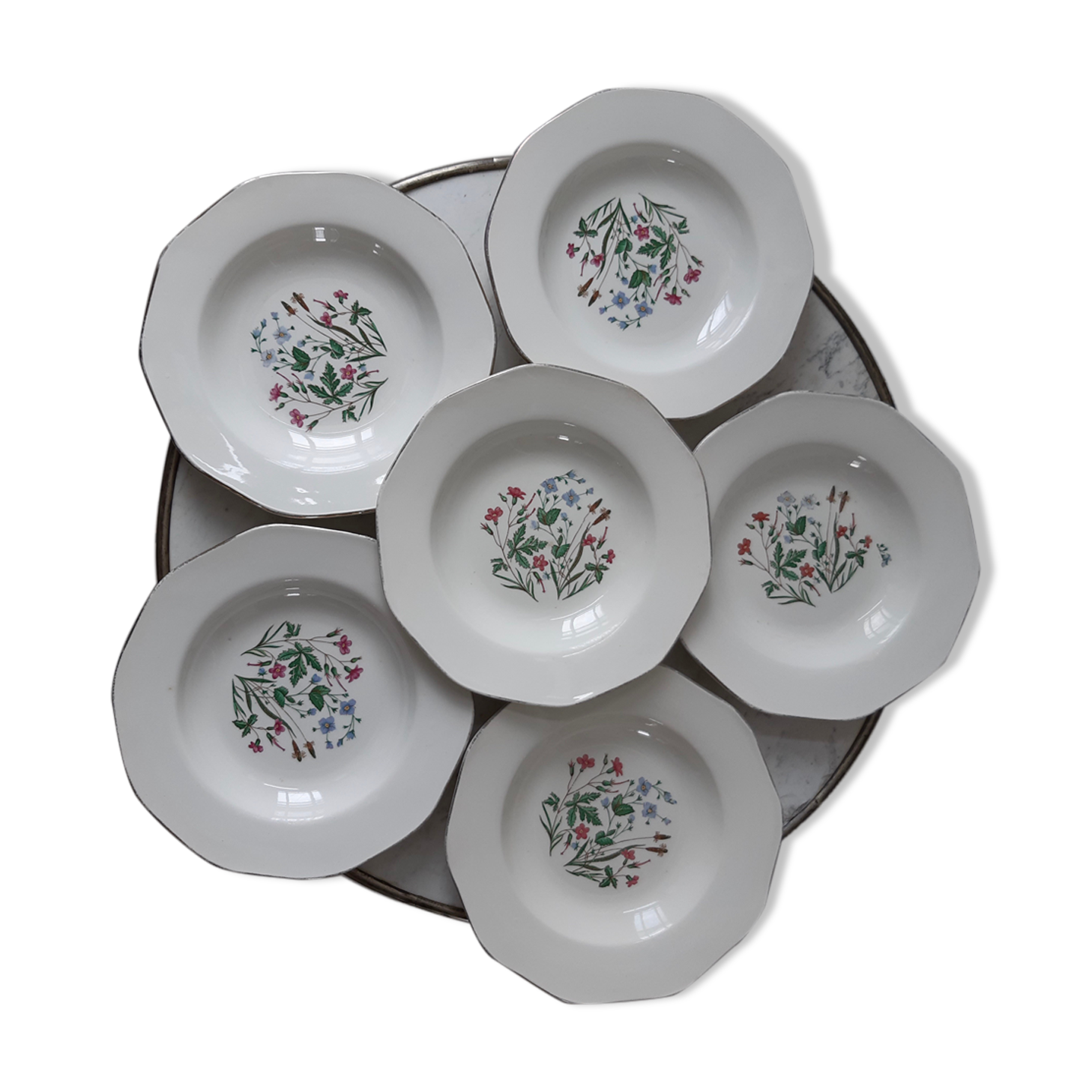Lot of 6 hollow plates Digoin Sarreguemines model Naïade