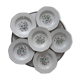 Lot of 6 hollow plates Digoin Sarreguemines model Naïade