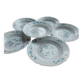 Lot de 6 assiettes en arcopal myosotis