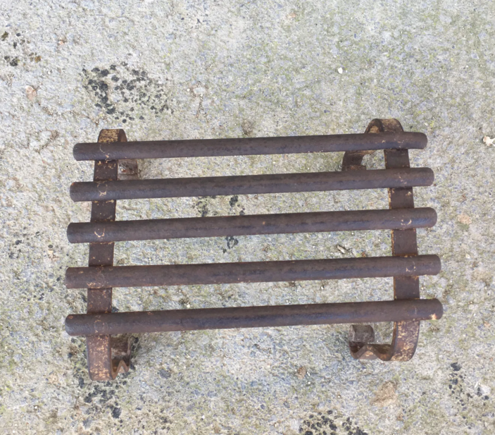 Ancient wrought iron plant support