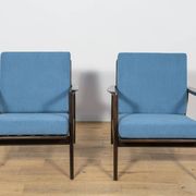 Model 300-139 Mid Century Modern Armchairs from Swarzędz Factory, Poland.