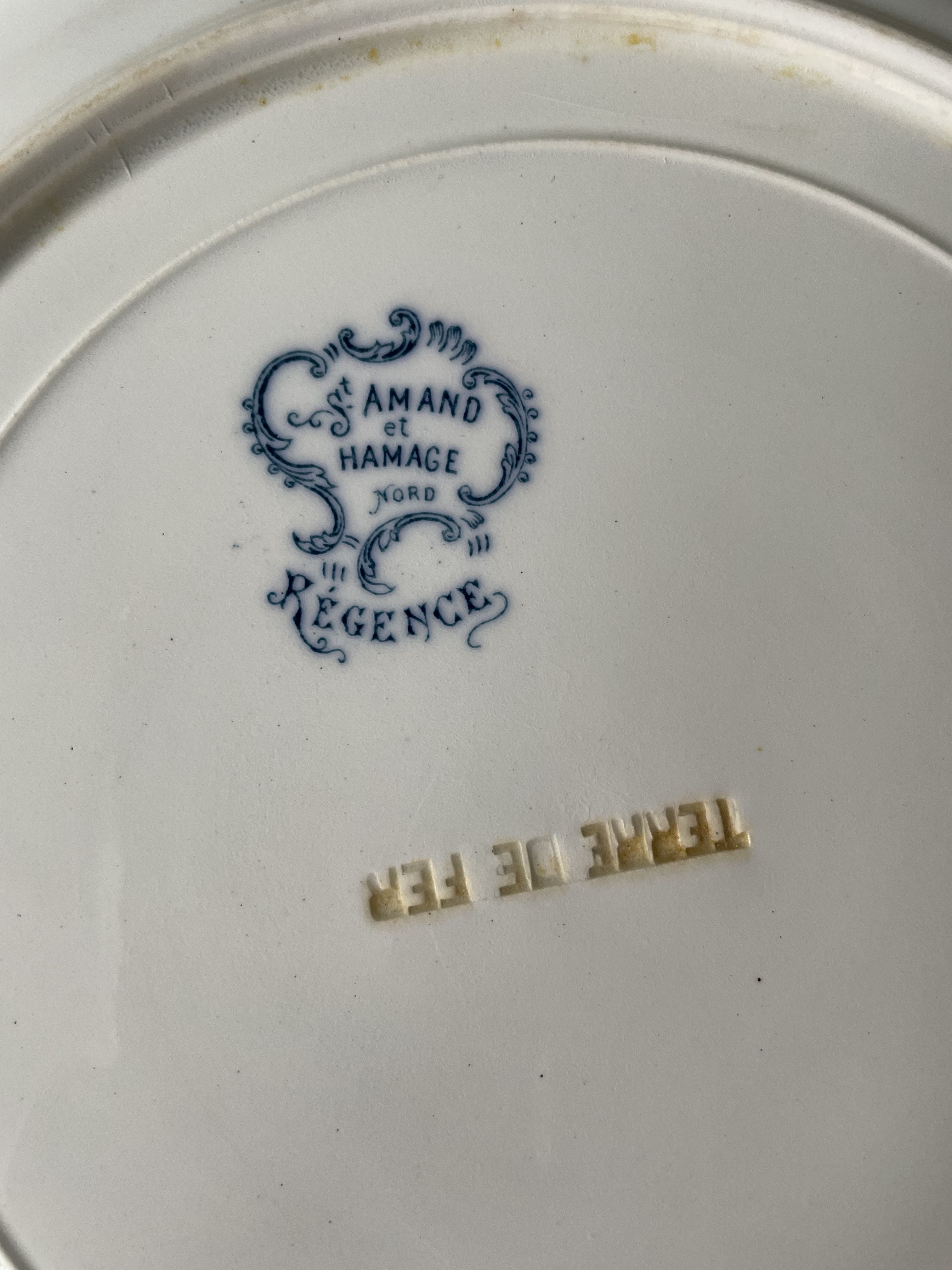 Set of 5 flat plates Terre De Fer XIXth, collection "Regency" St Amand & Hamage Nord
