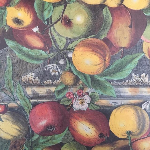 Ancient English botanical board of April 1732