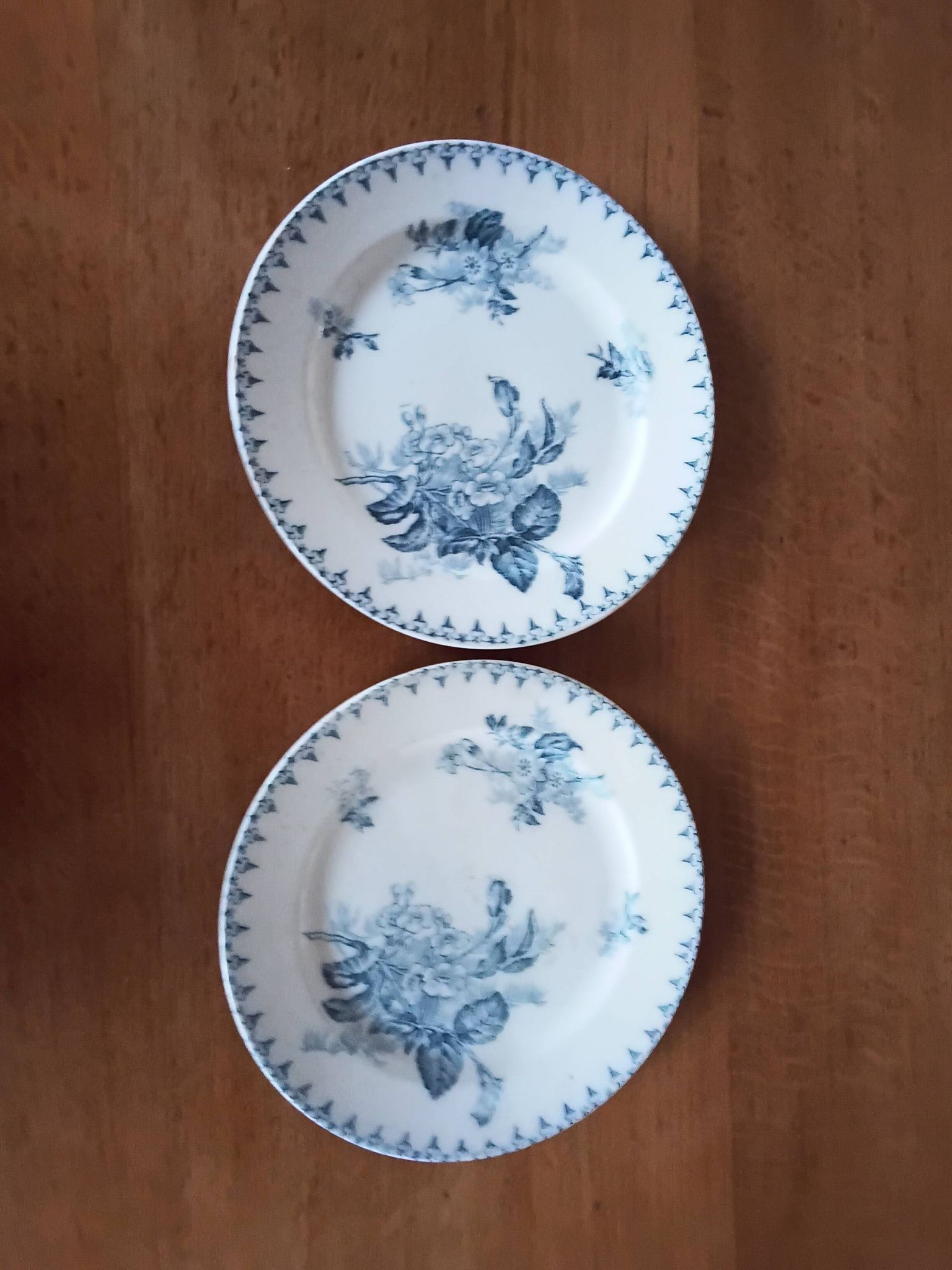 Two antique flat plates from Sarreguemines.