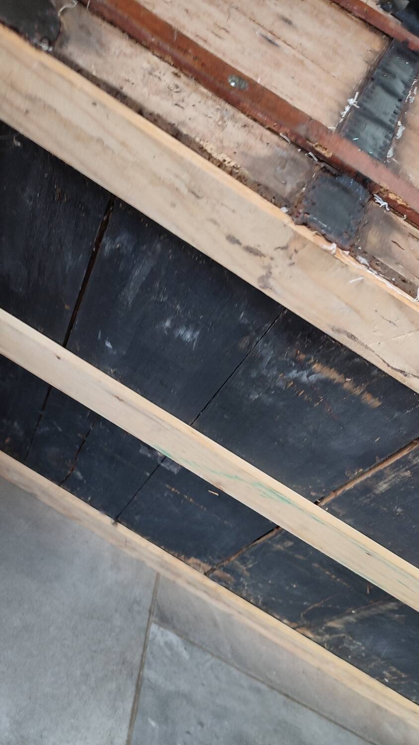 Grande malle en bois bombée